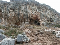 Ухаант хүний өвөг эцэг анх Ботсванад амьдарч байжээ