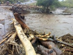 Кенид хөрсний гулгалтын улмаас олон хүн амиа алджээ