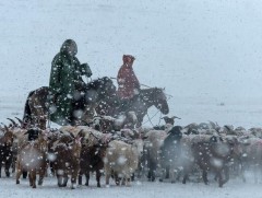 Загастайн даваа чиглэлийн замын хөдөлгөөнийг нээлээ