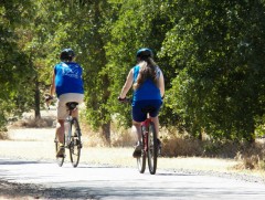 Дугуйтай гэр бүлийн нэг өдөр...