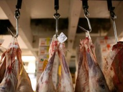 Мах боловсруулах үйлдвэр, бөөний худалдааны төв байгуулах ажлын явц 60 орчим хувьтай байна