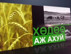 Монгол Улс эм бэлдмэлийнхээ 70 хувийг гаднаас авч байна