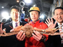 Цасан хавч 46 мянган ам.доллараар зарагджээ