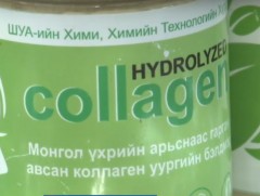 Үхрийн ширнээс коллаген болон уургийн бэлдмэлийг гарган авчээ 