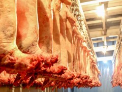 Махны зээлийн хүүгийн хөнгөлөлтөд 9.2 тэрбум төгрөг тусгажээ