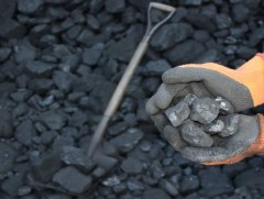 Нийслэлийн хэмжээнд 106 тонн түүхий нүүрсийг битүүмжлэн 21 сая төгрөгөөр торгожээ