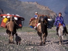 “Нүүдэлчин Монгол” уран сайхны нийтлэл