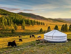 Эх орон дууны үнэ цэнэ 