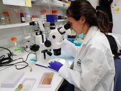 Энэтхэгт хавдрын тохиолдол нэг жилийн дотор 300 гаруй хувиар өсчээ