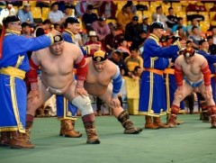 Улс тунхагласны баяр, Монгол бахархалын өдрийн барилдаан нэг өдөр болно