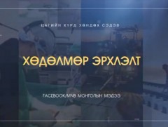 Ажил олгогчид дипломоос илүү хувь хүний хандлагыг чухалчилж байна