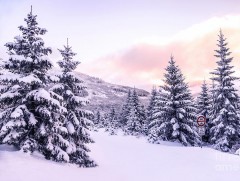 “Алтан дэлхийн атаат дайсан”