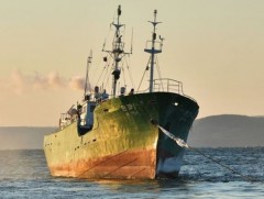 Өмнөд Солонгос улс умардын хоёр загасчныг улсаасаа хөөжээ 