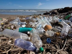 Далайн эргийн хуванцар савны хаягдлыг цуглуулан дахин боловсруулж эхэлжээ