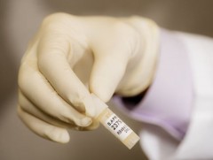 ДОХ өвчний шинэ төрлийг илрүүлжээ 