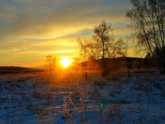 Цацлын мөнгөн өглөө