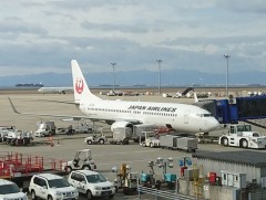 “Japan Airlines” компани 50 мянган тасалбарыг үнэгүй тараана 