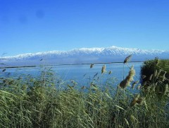 “Хар ус нуурын шагшуурга” дууны тухай