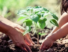 Байгаль орчны чиглэлийн зорилтуудыг хөгжлийн бодлогын баримт бичгийн төсөлд тусгаж байна