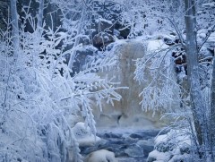 Есийн жавар айлсахад...