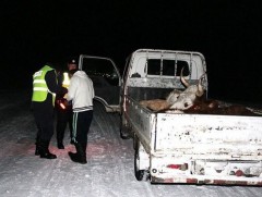 Архангай аймаг малын хулгай гаралтаар улсад гуравт бичигдэж байна