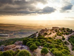 Израил улсыг Голаны өндөрлөгөөс гарахыг уриалсан тогтоол батлав