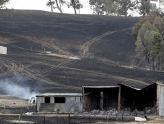 Австралид 400 оршин суугчтай тосгоны ихэнх барилга, байшин шатжээ