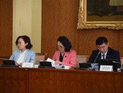 Морин уралдааныг цэгцлэхтэй холбоотой хуулийн төслийг хэлэлцэхийг дэмжив