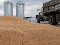 Газар тариалангийн салбарыг эрчимжсэн хэлбэрээр хөгжүүлнэ 