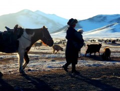 Малчин эмэгтэйчүүд эрхээ эдэлж чадаж байна уу