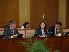 Шинэчилсэн найруулгын төслийг хэлэлцэхийг дэмжив 