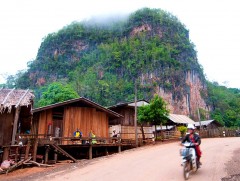ТАЙЛАНД: Барилгын дээврийг тариалангийн талбайн зориулалтаар ашиглаж байна