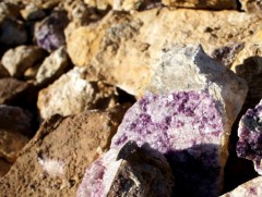 Жоншны салбарт байгалийн нөөцөөс гадна хүний нөөцийн хомсдол тулгарч байна