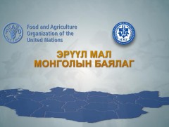 Эрүүл мал Монголын баялаг /2019.12.11/