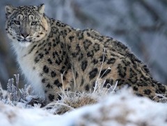 “Ирвэстэй нутгийн ирээдүй” нэвтрүүлэг 