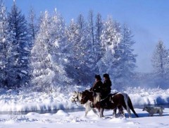 Монголын өвөл /фото/