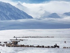 Орон нутгийн аюулгүй нөөцийн бэлтгэл ажил 70 гаруй хувьтай байна