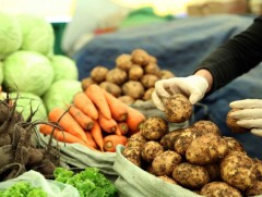 Хүнсний ногооны хэрэглээний 40 гаруй хувийг дотоодоосоо хангаж байна 