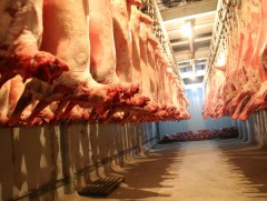 Махны үйлдвэрүүдийг тусгай зөвшөөрөлтэй болгоно