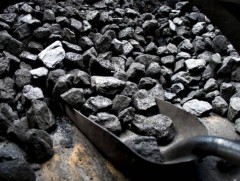 500 гаруй тонн түүхий нүүрсийг битүүмжилжээ 