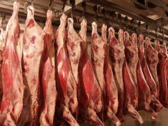 Энэ өвөл 16.5 сая толгой малыг эдийн засгийн эргэлтэд оруулахаар төлөвлөж байна