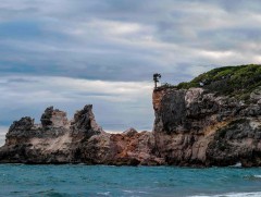 Пуэрто Рико арлын өвөрмөц тогтоц бүхий хадан хясаа нуржээ