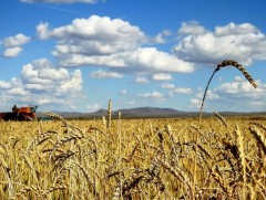 Тариалан эрхлэлтийг дэмжих санг Хөдөө аж ахуйг дэмжих сан болгов