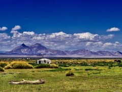 Эх орны тухай бодол