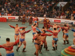 Үндсэн хуулийн өдөрт зориулсан чансаа өндөр 128 бөхийн барилдаан эхэллээ