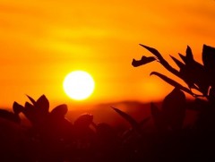  Сэтгэл дулаахан 