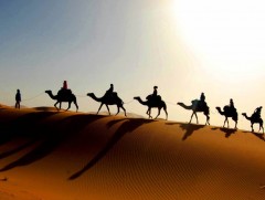 Сахарын элсэн цөлийн нууц тайлагдсан уу?