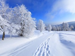 Ойрын өдрүүдийн цаг агаарын мэдээ 