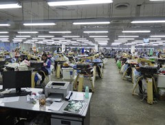 Ноос, ноолуурын боловсруулалтын салбарт 10 мянган хүний ажлын байр бэлэн байна