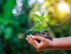 Нэг тэрбум хүн сургаж, нэг тэрбум мод тарина 